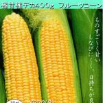 とうもろこしページ BIRDMORE とうもろこし 300g 脱酸素パッケージ
