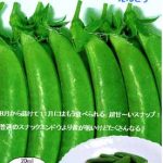 ニムラ サラダスナップえんどう （実も莢もOK） | 市川種苗店【公式 