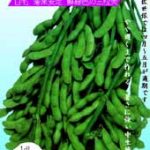 えだまめページ ORGANIC POTAGE えだまめ（12食） | 【公式】コスモス食品の