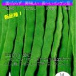 21izumo921 ジャンボいんげんAB品10キロ 21izumo921様専用ジャンボいんげんAB品込み10キロ低農薬 - メルカリ