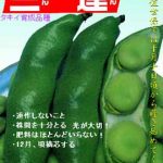 そら豆　M8kg Amazon | 株式会社トーホク 一寸そら豆 06327 | 野菜