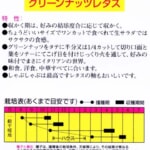 12110050