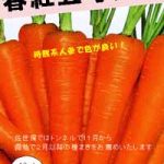 春紅五寸（ニンジン） | 市川種苗店【公式オンラインショップ】