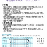 13121250